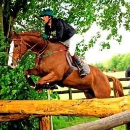 Horse Power Adventure Break